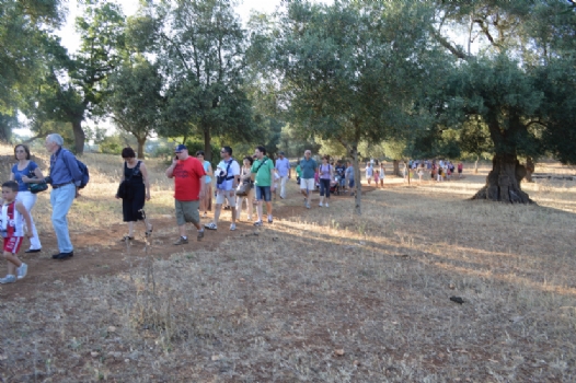 MASSERIA CARRONE