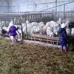 Fattoria didattica Saperi e Sapori Colture e Culture