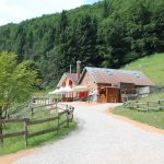Che bella malga