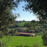 azienda agricola Magnaterra Roberto e Massimo