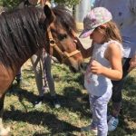 Azienda Agricola Le Noci – Farm Community