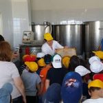 APICOLTURA ANZIVINO