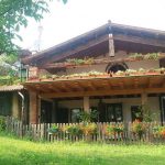 DEL MONTE
