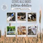LE RADICI