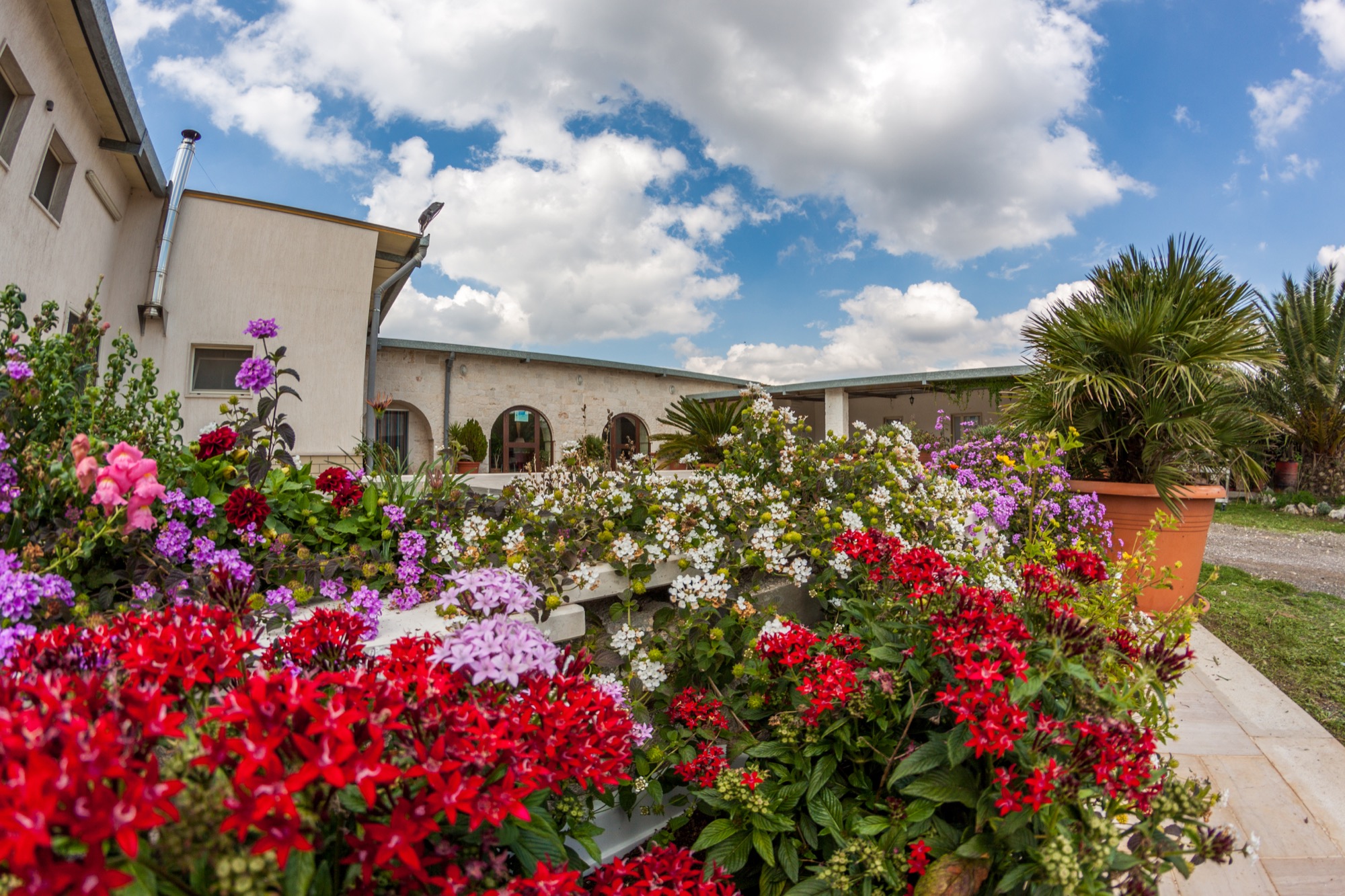 MASSERIA LE PIANELLE