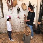 MASSERIA DIDATTICA MINOIA