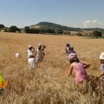 AZIENDA DEL CARMINE