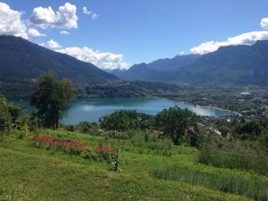 Panorama il leprotto bisestile