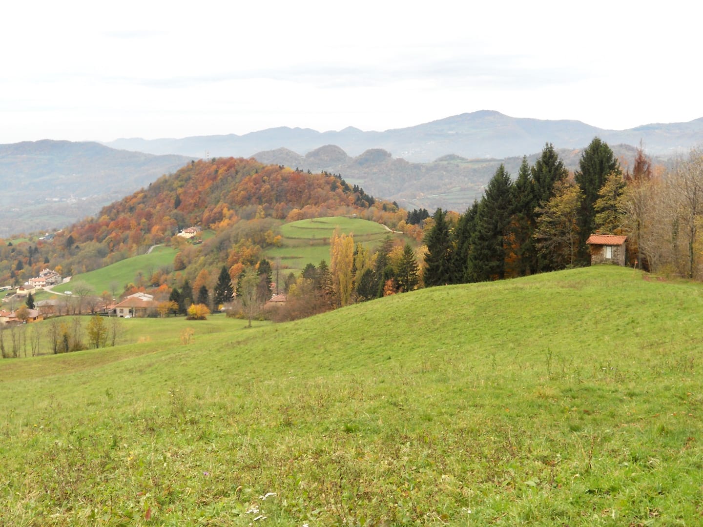 LA RINDOLA