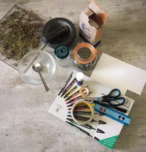 Come preparare il sale aromatizzato