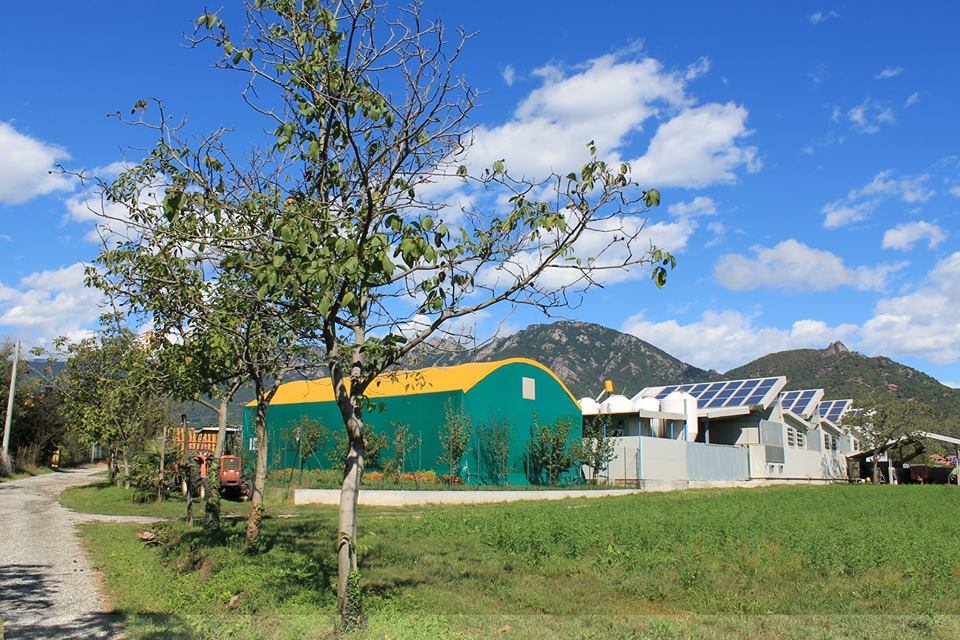 CASCINA GRANELLO DI SENAPE