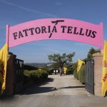FATTORIA TELLUS