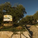 FATTORIA ROVELLO
