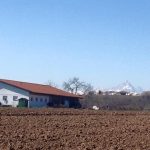 LUDOCASCINA LA CILIEGIA E IL GIOANIN