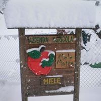 MELE MATTE