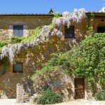 LA CASA DI CAMPAGNA