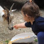 IL CASON DELLE MERAVIGLIE