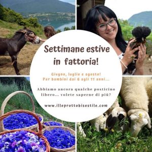 Settimane estive in fattoria il leprotto bisestile