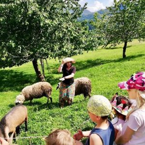fattoria didattica il leprotto bisestile