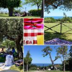 AZIENDA AGRITURISTICA E FATTORIA SOCIALE LA CASTELLETTA