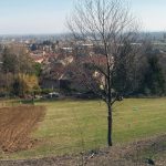 CASCINA DEPETRIS