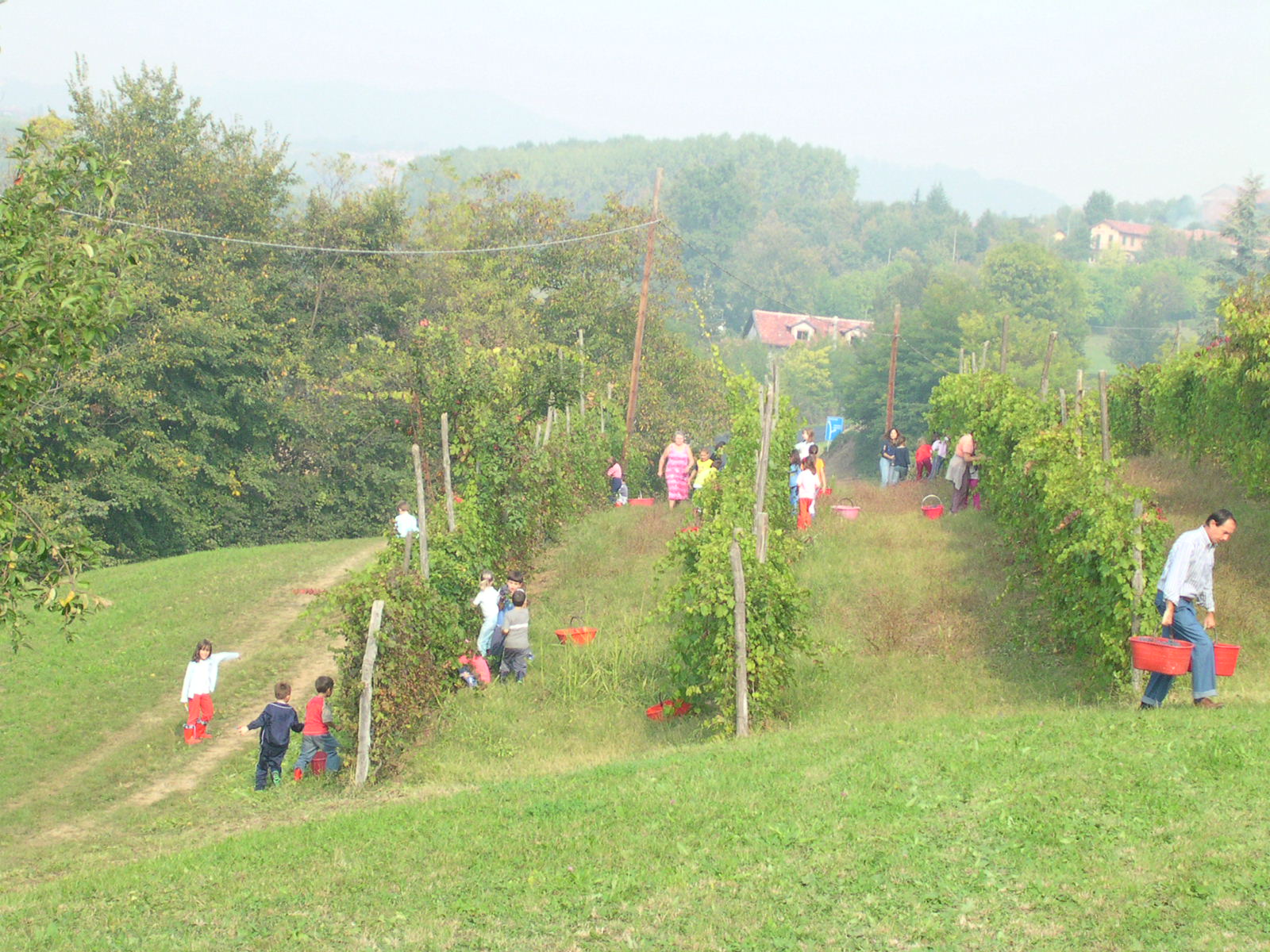 AZIENDA AGRICOLA RUBATTO GUIDO