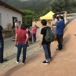 IL POGGIO DI NONNO PIERO