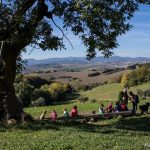 La Fattoria della Meraviglia di Stefania Pietrani