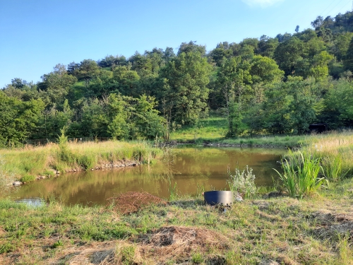 LA NATURA DI TUTTI