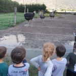 AGRITURISMO CASCINA BARBASSA