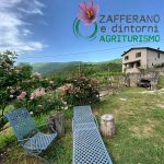 ZAFFERANO E DINTORNI