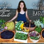 IL BOSCO DELLE GALLINE VOLANTI