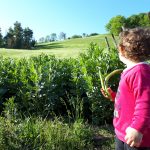 Biofavole azienda agricola
