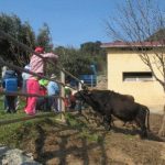 AGRITURISMO ARGENTEA