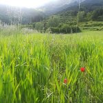 “Le Terre delle Fate” la leggenda della Sibilla appenninica ed il rispetto della biodiversità  e dei cicli naturali